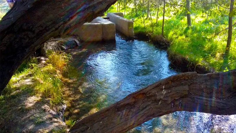 چشمه گیلاس