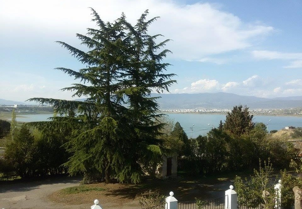 هتل ویولیک تفلیس