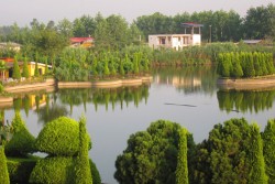 هتل ستاره دریا چمخاله